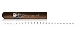 Zigarren aus Costa Rica Discovery Pack (8 Zigarren)