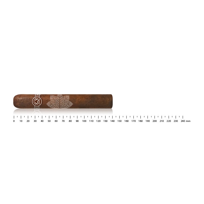 Padron Classic 3000