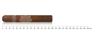 Padron Classic 3000