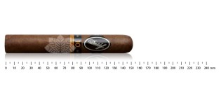 Davidoff Nicaragua 10th Anniversary LE2023