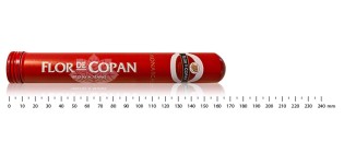 Flor de Copan Monarcas AT