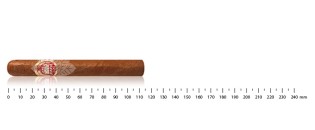 H.Upmann Corona junior tubos