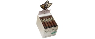 Skel Ton - Live your Dreams Robusto