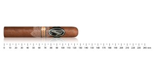 Davidoff Nicaragua Robusto