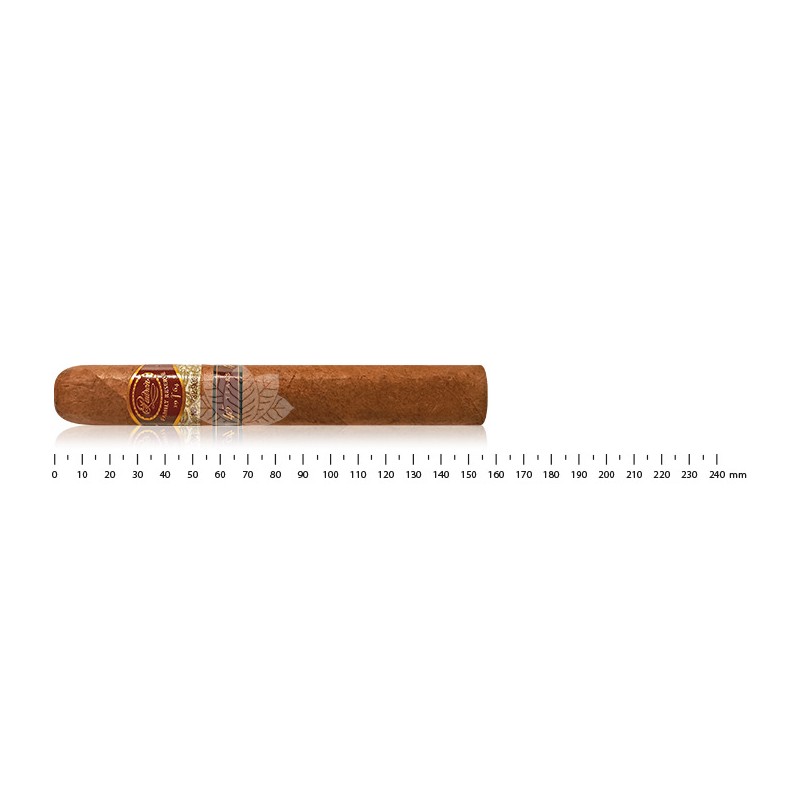 Padron Family Reserve 45th