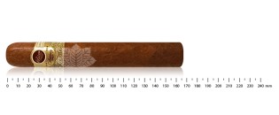 Padron 1964 Anniversary No.4