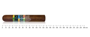 CAO BX3 Robusto