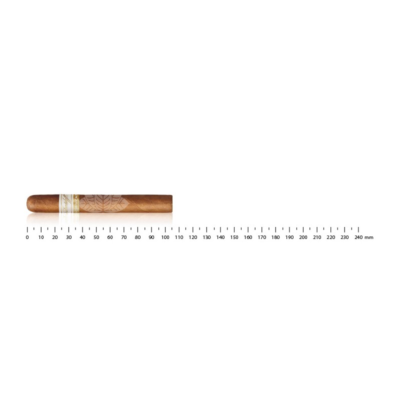Zigarre Davidoff Primeros Dominican - Kiste à 6 Zigarren