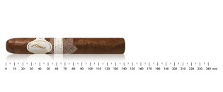 Davidoff Robusto Real Especiales 7 Limited Edition 2019