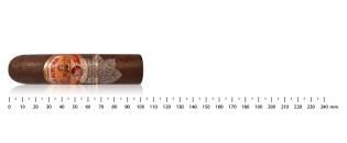 La Aurora 107 Nicaragua Sumo Short Robusto