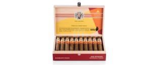 Avo Syncro Fogata Robusto (20)