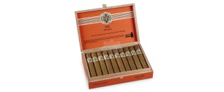 Avo XO Intermezzo Robusto