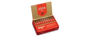 Joya RED Short Churchill