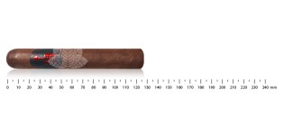 Caldwell One Night Stand Robusto