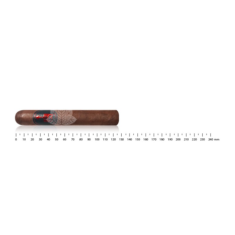 Caldwell One Night Stand Robusto
