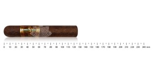 Flor de Oliva Maduro Robusto