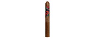 Gecko Corona 44 by Lecigare