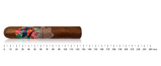 Gecko Robusto 52 by Lecigare