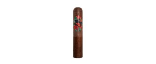 Gecko Gordo 60 by Lecigare