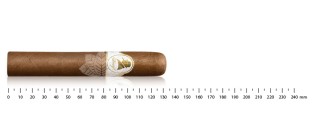 Davidoff Winston Churchill Robusto