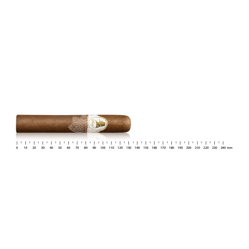 Davidoff Winston Churchill Robusto