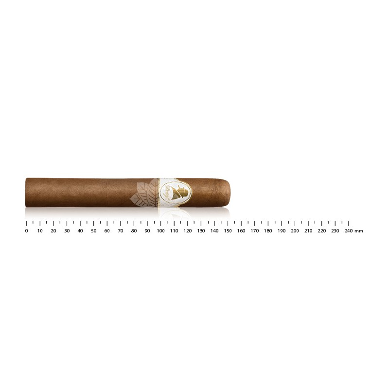 Davidoff Winston Churchill Toro