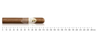 Davidoff Winston Churchill Petit Corona