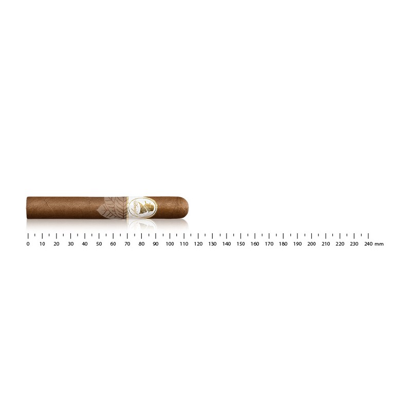 Davidoff Winston Churchill Petit Corona