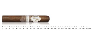 Davidoff Millennium Robusto