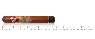 Montecristo Humidor L'Esprit "Le Crépuscule"