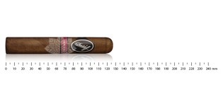 Davidoff Yamasa Robusto