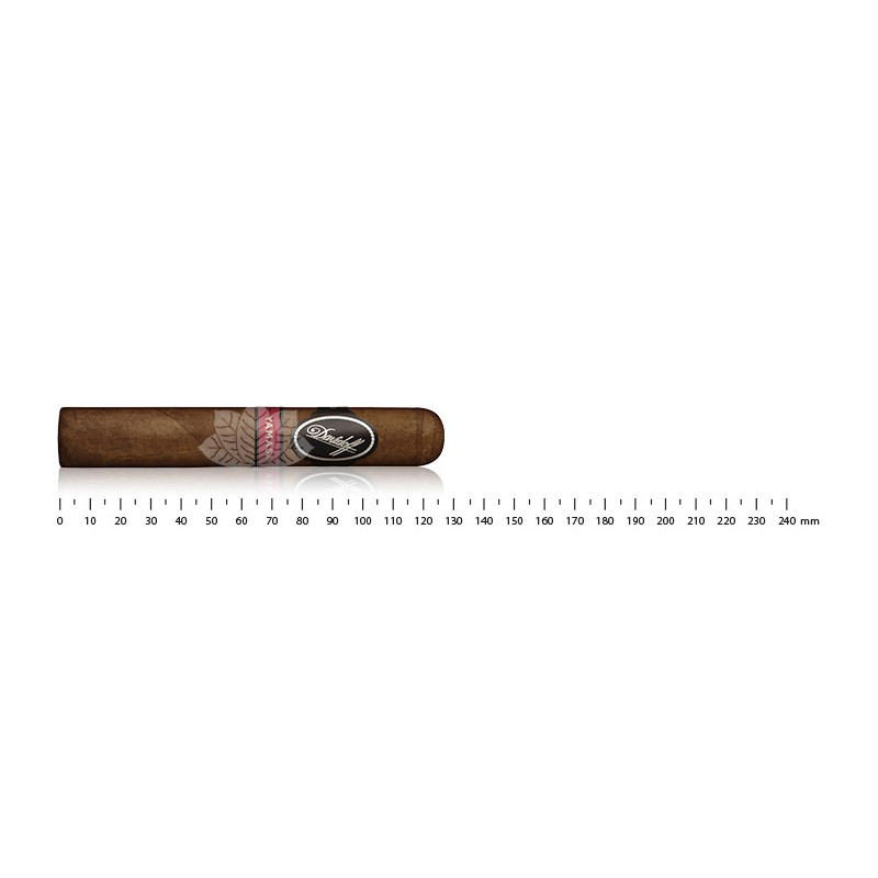 Davidoff Yamasa Robusto