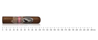 Davidoff Yamasa Petit Churchill