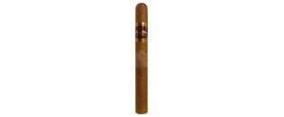 Flor de Oliva Churchill