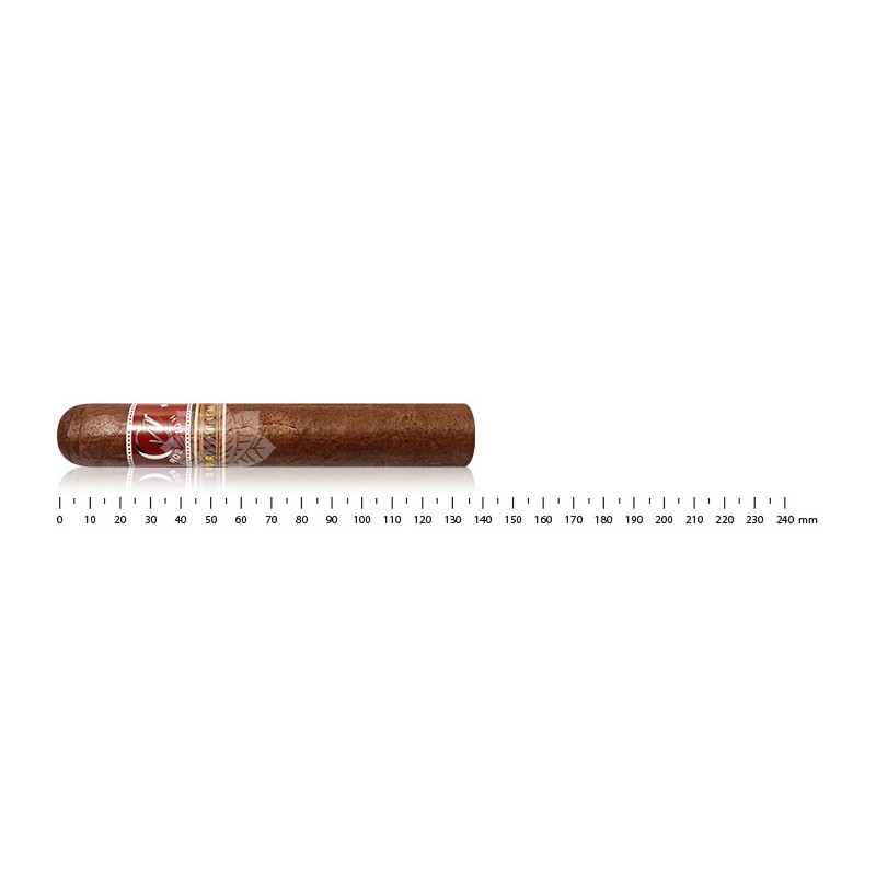 CVJ Robusto H