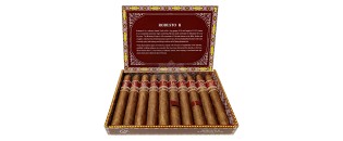 CVJ Robusto H