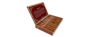 CVJ Robusto H