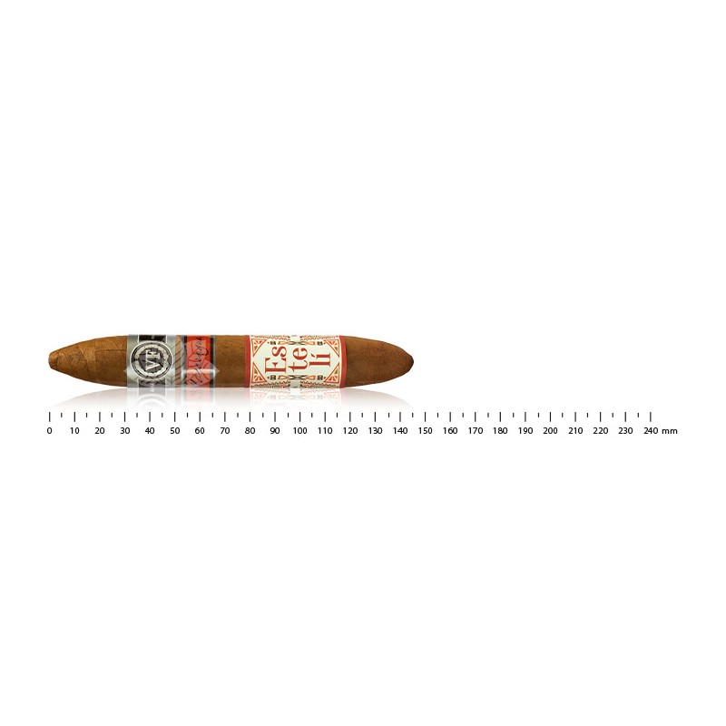 Vega Fina Nicaragua Esteli 2023