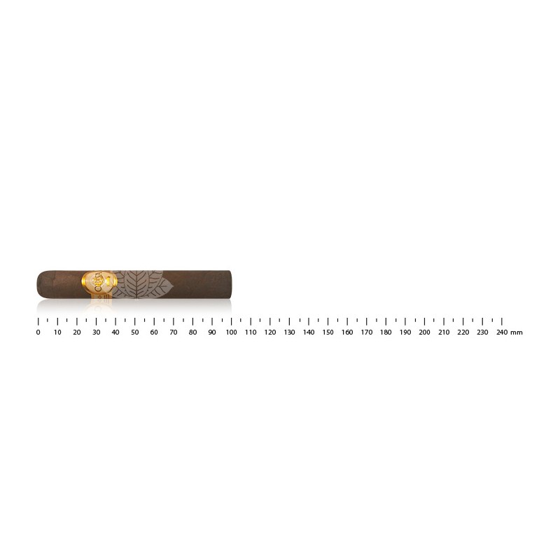 Oliva Série G cigarillos