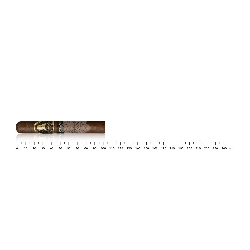Davidoff Late Hour Petit Panatela