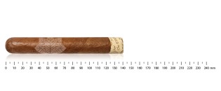 Rocky Patel Edge Corojo Robusto