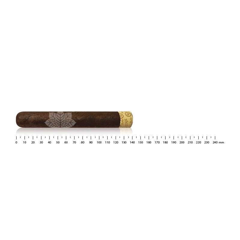 Rocky Patel Edge Maduro Robusto