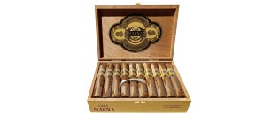 Casa Magna Connecticut Robusto