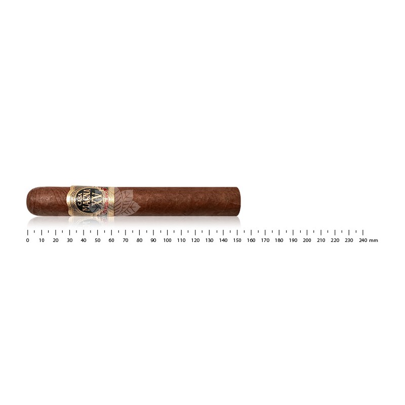 Casa Magna XV Anniversary