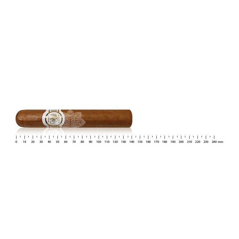 Vegas de Santiago White Label Wide Churchill