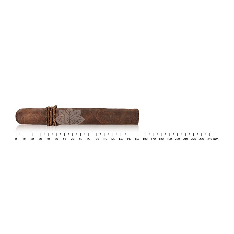 CAO Amazon Basin Toro
