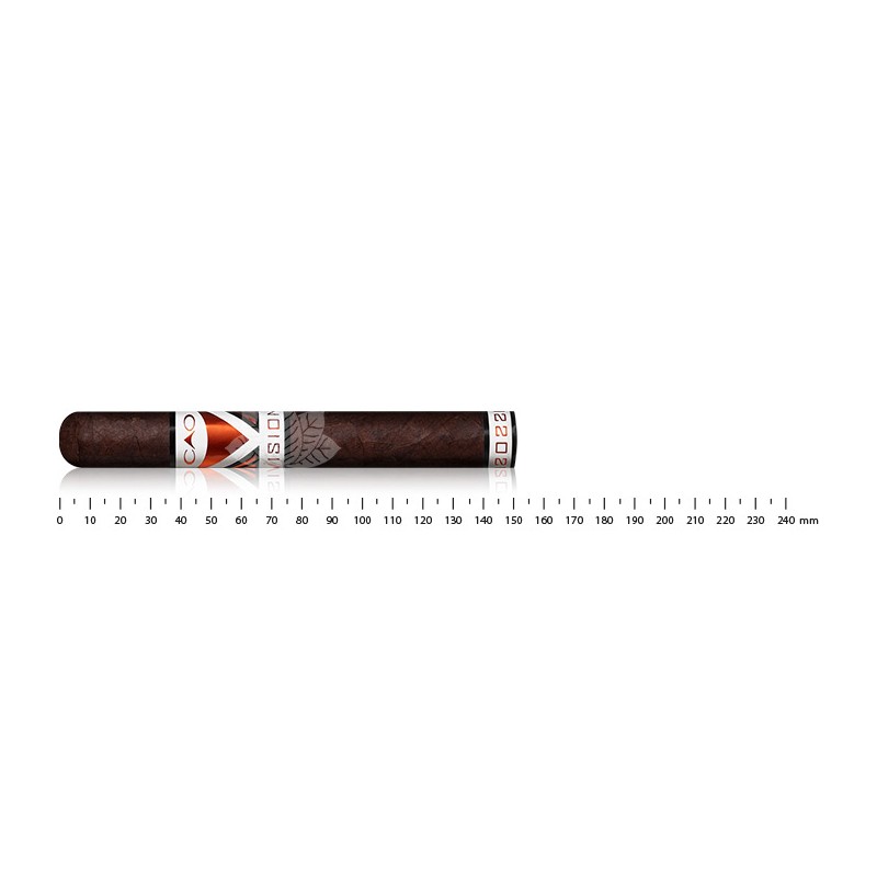 CAO Vision Toro LE 2022