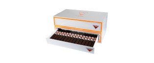 CAO Vision Toro LE 2022