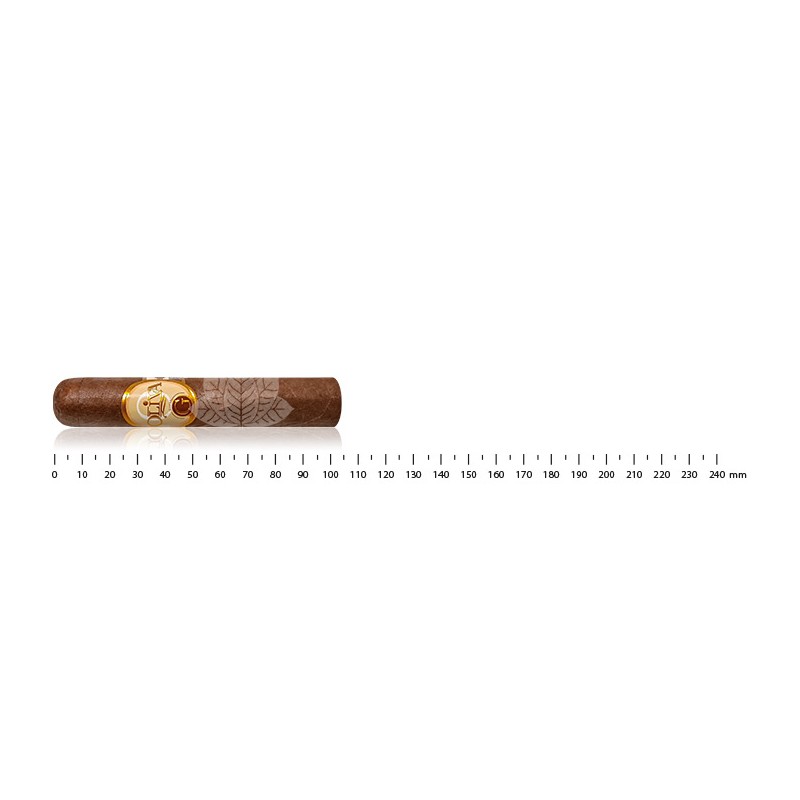 Oliva Serie G Robusto