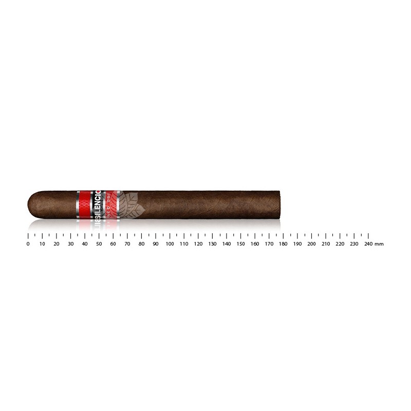 Silencio Red Dot Churchill